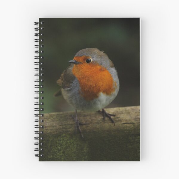 Item preview, European Robin on Gate Vertical designed and sold by eddiebarronshop.