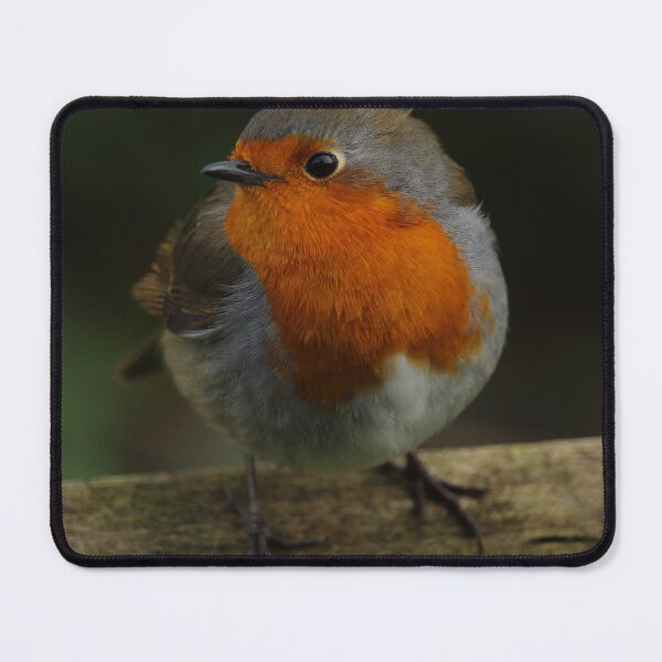 Item preview, European Robin on Gate Vertical designed and sold by eddiebarronshop.