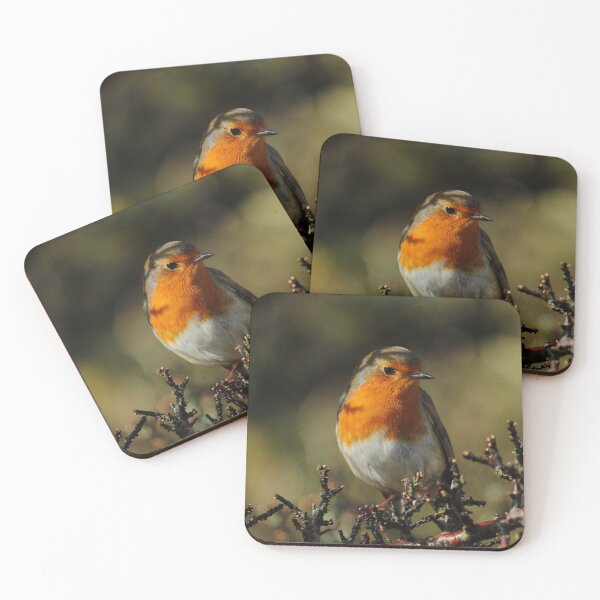 Item preview, European Robin Donegal Ireland Vertical designed and sold by eddiebarronshop.