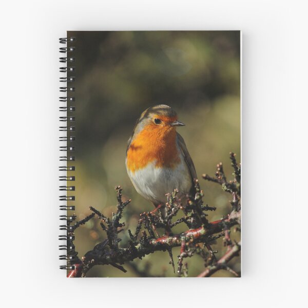 Item preview, European Robin Donegal Ireland Vertical designed and sold by eddiebarronshop.