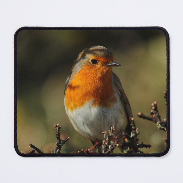 Item preview, European Robin Donegal Ireland Vertical designed and sold by eddiebarronshop.