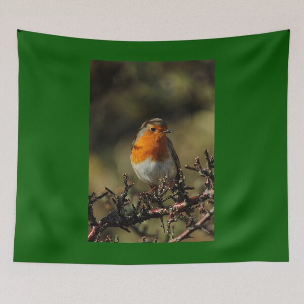 Item preview, European Robin Donegal Ireland Vertical designed and sold by eddiebarronshop.