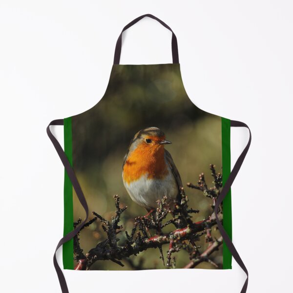 Item preview, European Robin Donegal Ireland Vertical designed and sold by eddiebarronshop.