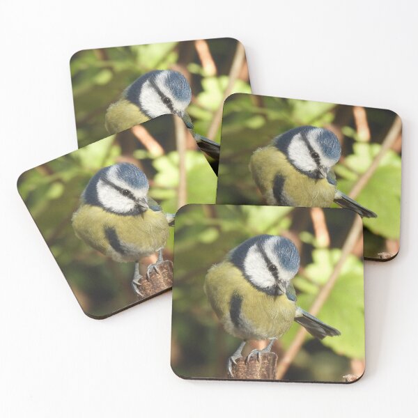 Item preview, SITTING PRETTY 1 designed and sold by NatureWatch10.