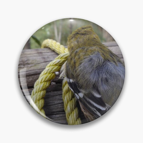 Item preview, Gold finch  designed and sold by McFleur's Lens.