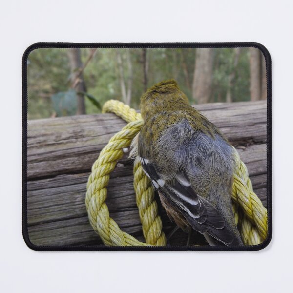 Item preview, Gold finch designed and sold by McFleur's Lens.