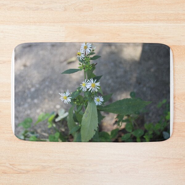 Item preview, Panicled aster  designed and sold by McFleur's Lens.