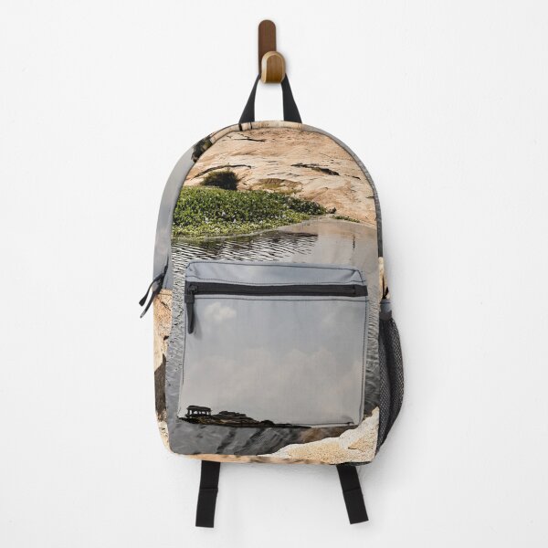 Item preview, Ruins and nature: harmony in Hampi designed and sold by franck380.