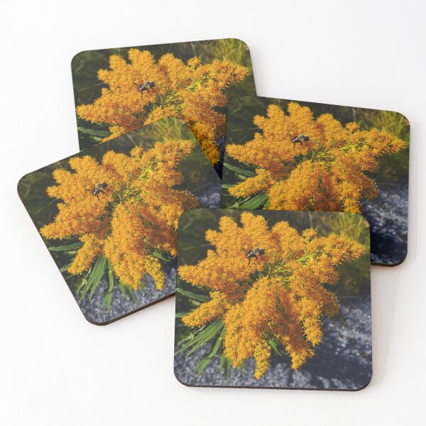 Item preview, Bee Pollenating Flower in Vergennes, VT designed and sold by ZPalmer14.