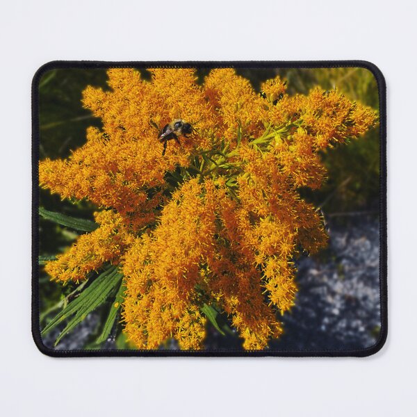 Item preview, Bee Pollenating Flower in Vergennes, VT designed and sold by ZPalmer14.