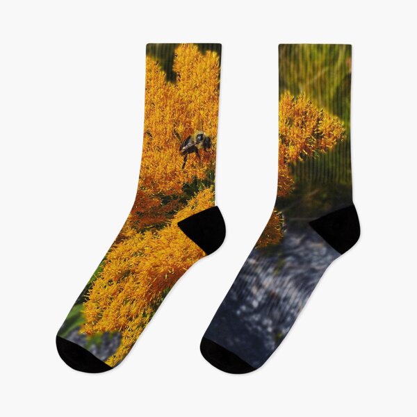 Item preview, Bee Pollenating Flower in Vergennes, VT designed and sold by ZPalmer14.
