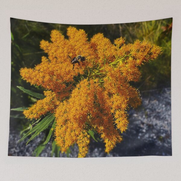 Item preview, Bee Pollenating Flower in Vergennes, VT designed and sold by ZPalmer14.