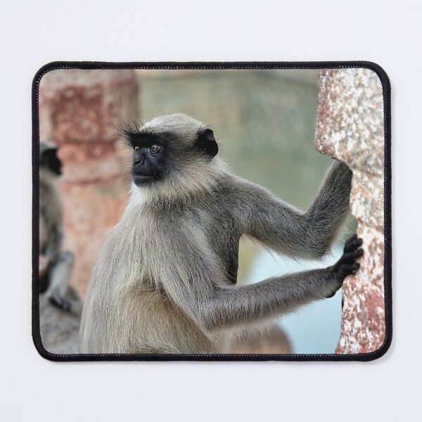 Item preview, Monkeys in Freedom at the Heart of History designed and sold by franck380.