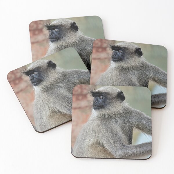 Item preview, Wildlife in Hampi designed and sold by franck380.