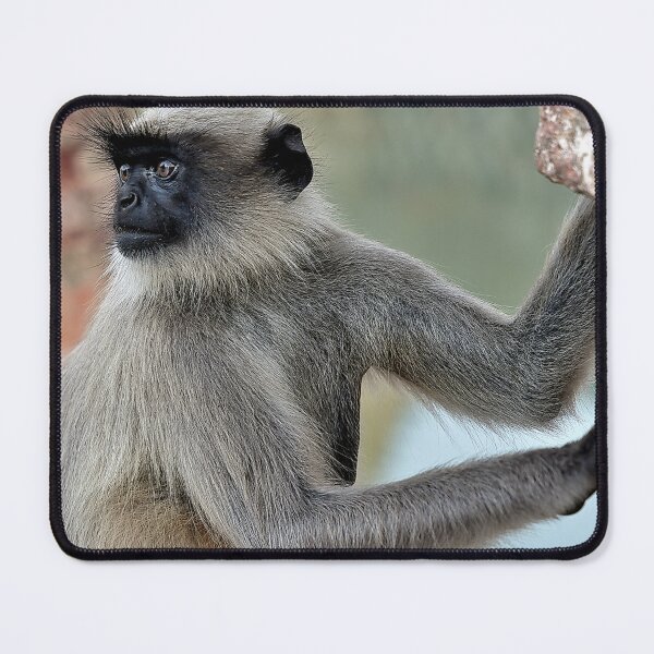 Item preview, Wildlife in Hampi designed and sold by franck380.
