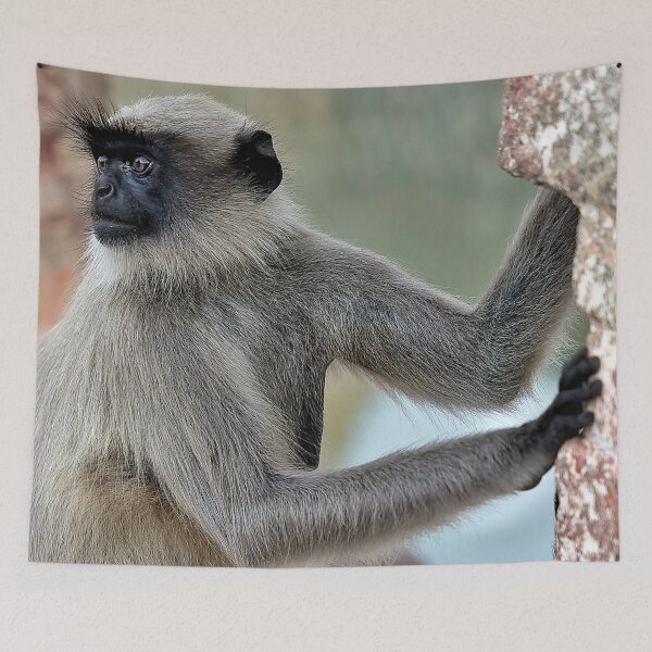 Item preview, Wildlife in Hampi designed and sold by franck380.