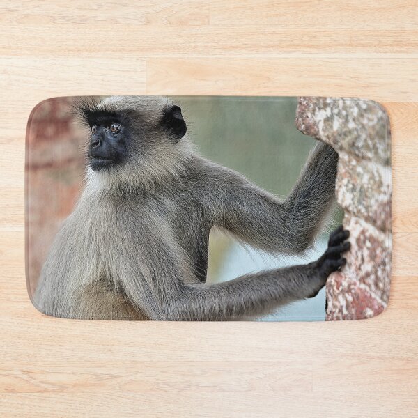 Item preview, Wildlife in Hampi designed and sold by franck380.