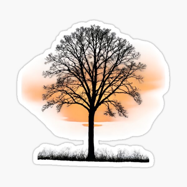 Item preview, Colorful Sky and Tree Silhouette at Dusk designed and sold by rajasekhark.