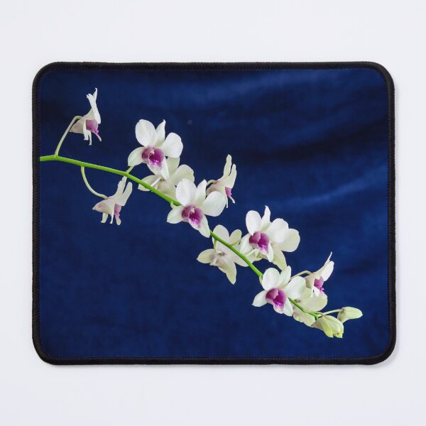 Item preview, Dendrobium Orchids X121 designed and sold by RichFrancoCars.