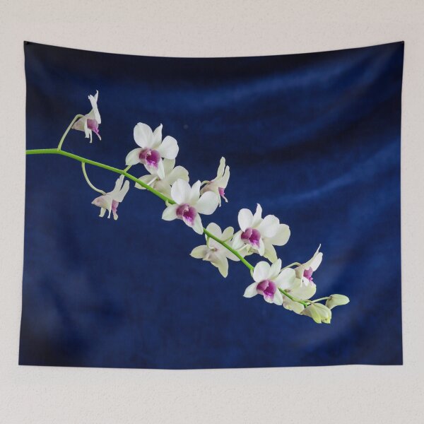 Item preview, Dendrobium Orchids X121 designed and sold by RichFrancoCars.