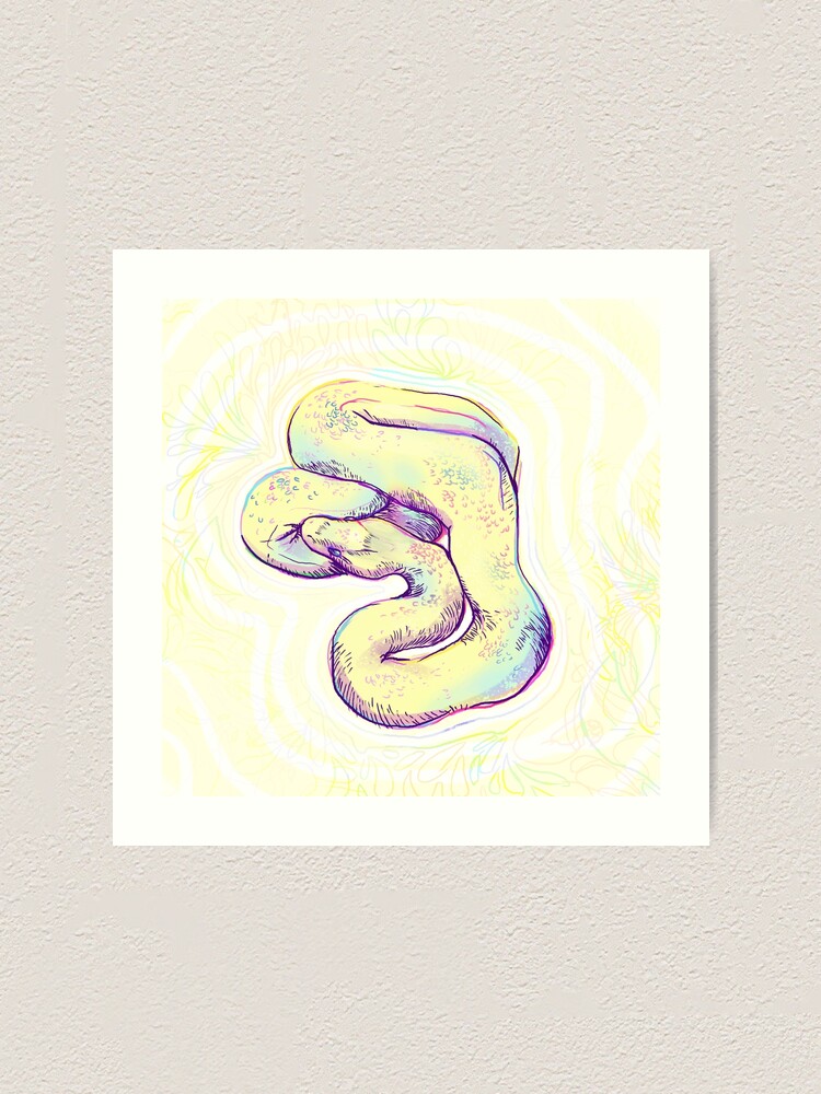 Lámina artística «serpiente pastel» de thelittlestfitz | Redbubble