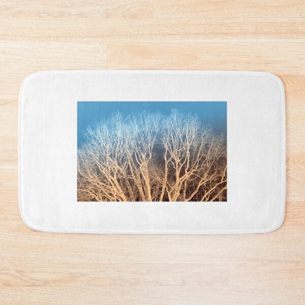 Item preview, Night forest designed and sold by Kacharava.