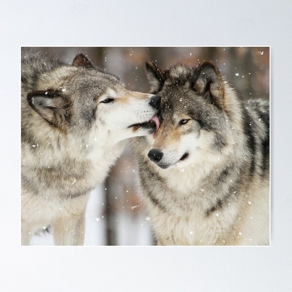 Item preview, Wolf Kisses designed and sold by locustgirl.