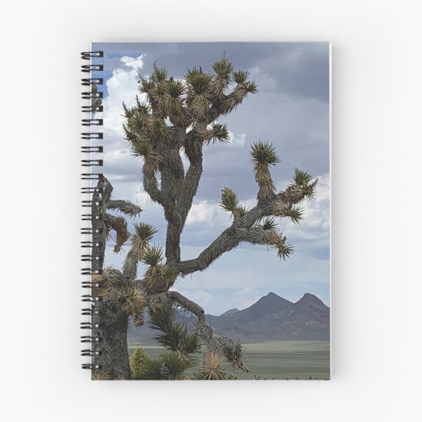 Artikelvorschau, Einsamer Joshua Tree mit Wolken und Hügeln entworfen und verkauft von Paul Morse.