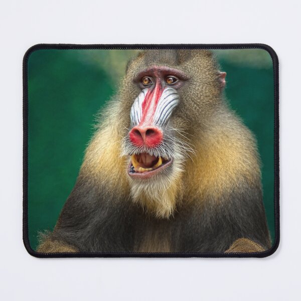 Item preview, Mandrill Monkey designed and sold by Zoozwear Apparel.