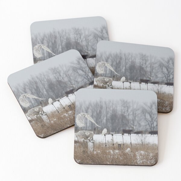 Item preview, 4 snowy owls designed and sold by locustgirl.