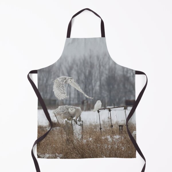 Item preview, 4 snowy owls designed and sold by locustgirl.