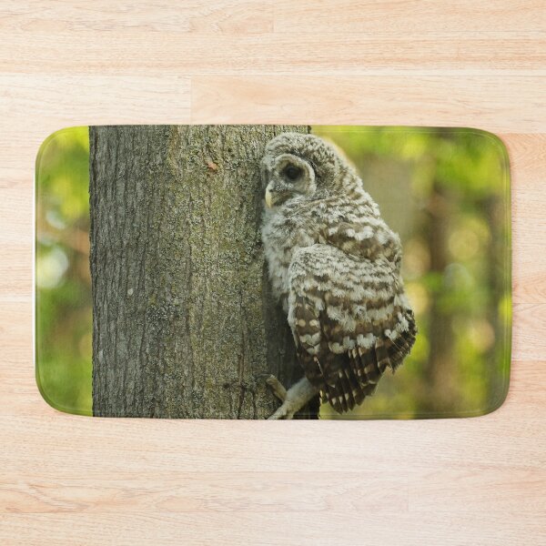 Item preview, Baby owls climb trees designed and sold by locustgirl.