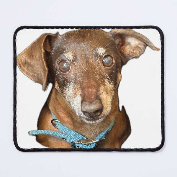 Item preview, The Artful Dodger designed and sold by RadYogaGirl.