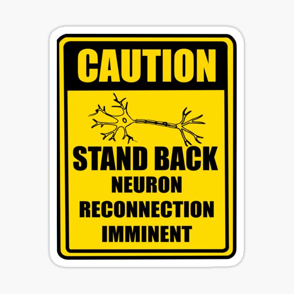 Item preview, Concussion, TBI, traumatic brain injury, plasticity, therapy, neurons designed and sold by Alohamagic.