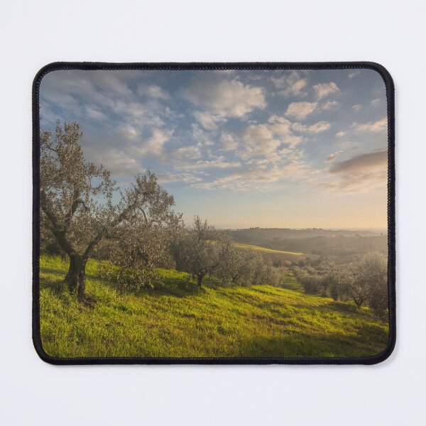 Item preview, Sunset over Olive Grove in Tuscany designed and sold by Stefano Orazzini.