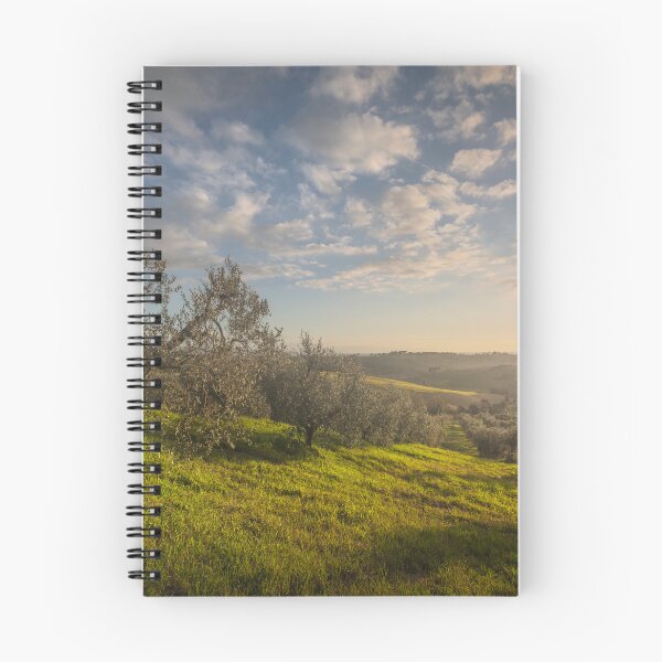 Item preview, Sunset over Olive Grove in Tuscany designed and sold by Stefano Orazzini.