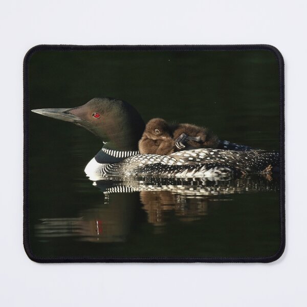 Item preview, Mother and her baby loons designed and sold by locustgirl.