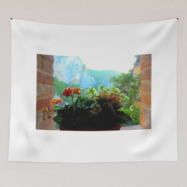 Item preview, View from the window of Eremo di Santa Maria Infra Saxa designed and sold by Kristina Drozd.