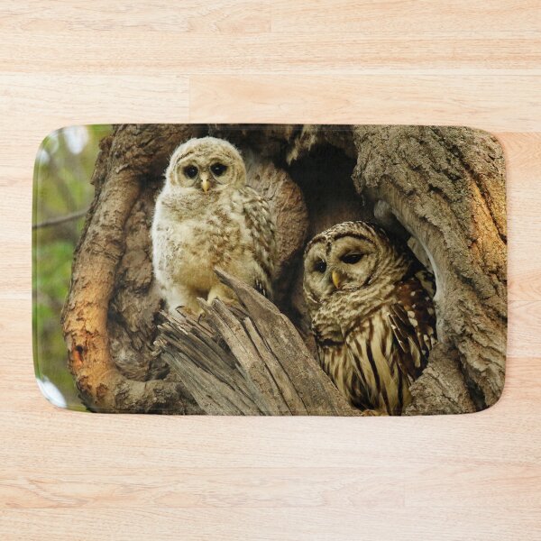 Item preview, Mom and her baby owl ~ (NEW precious video part 4 in description) designed and sold by locustgirl.