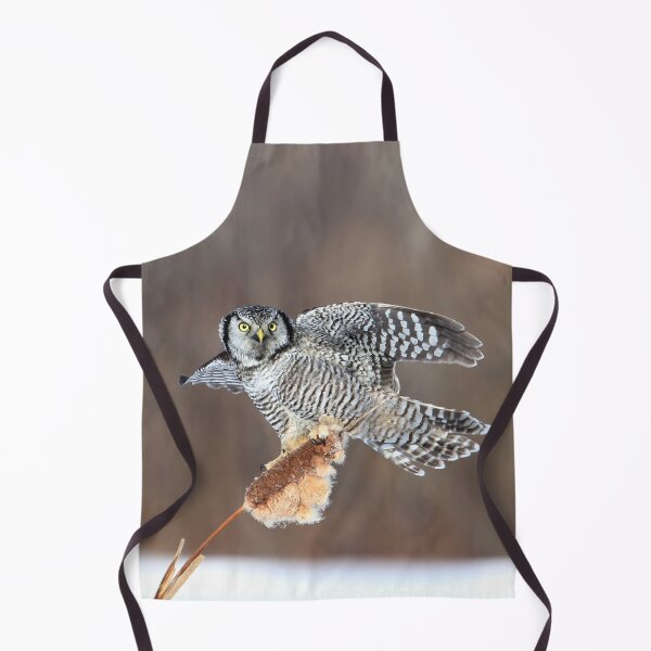 Item preview, Hawk owl on cattail designed and sold by locustgirl.