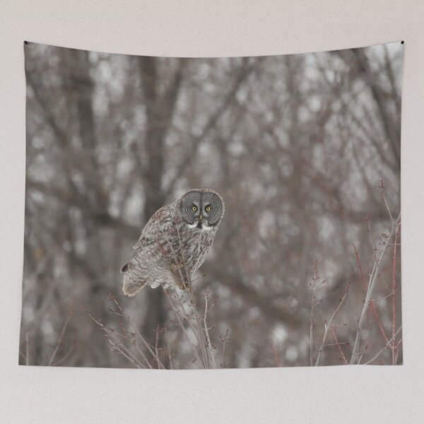 Item preview, Staring Contest designed and sold by locustgirl.