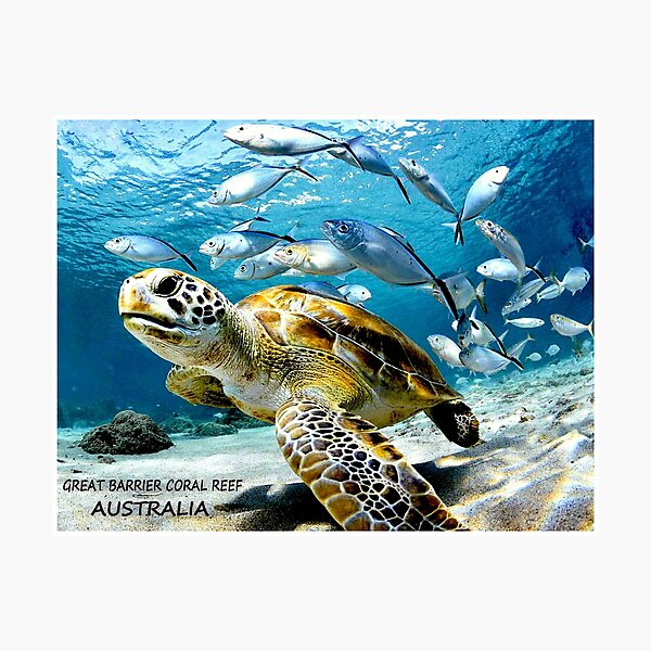 Artikelvorschau, Great Barrier Coral Reef Vintage Werbung Queensland Australien Reisedruck entworfen und verkauft von posterbobs.