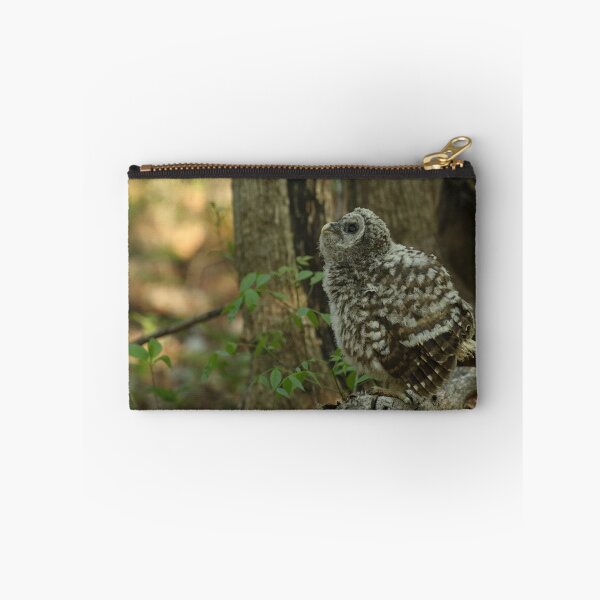 Item preview, Baby barred owl designed and sold by locustgirl.