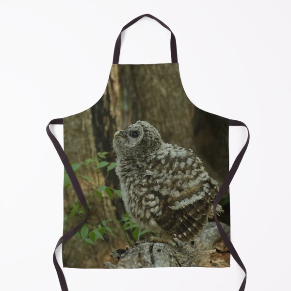 Item preview, Baby barred owl designed and sold by locustgirl.