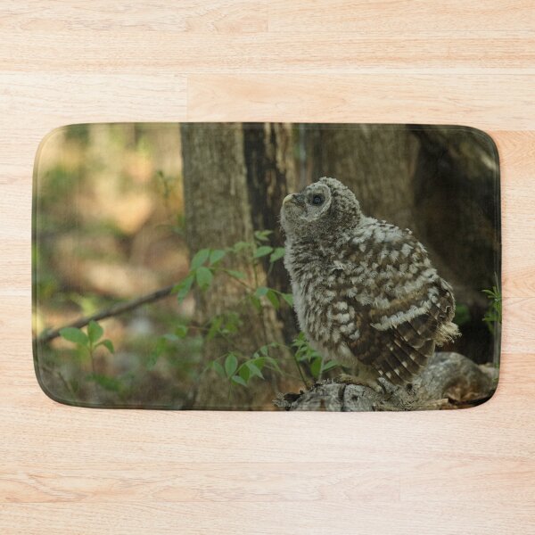 Item preview, Baby barred owl designed and sold by locustgirl.