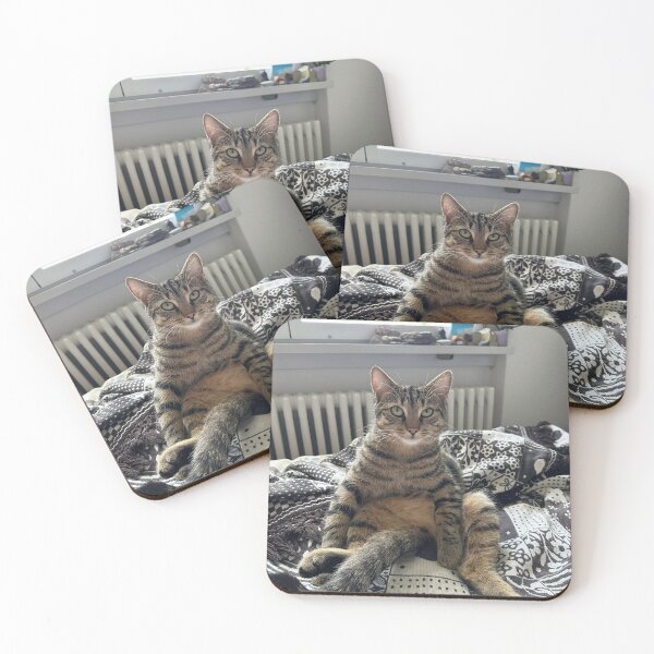 Item preview, ruby sitzt und sieht sehr dumm aus designed and sold by proteinpanda.