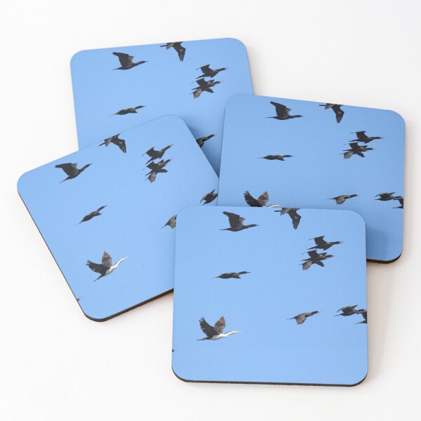 Item preview, One of these Cormorants is not like the others designed and sold by BirdsAlive.