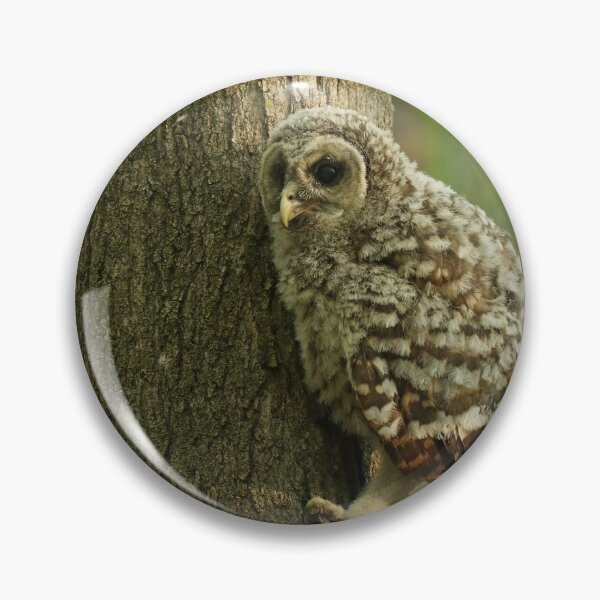 Item preview, baby owls climb trees designed and sold by locustgirl.