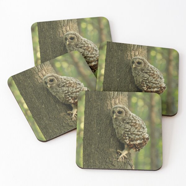 Item preview, baby owls climb trees designed and sold by locustgirl.