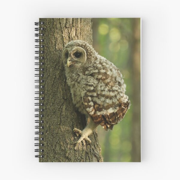 Item preview, baby owls climb trees designed and sold by locustgirl.